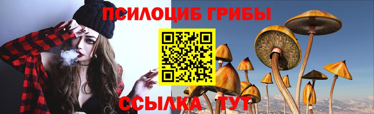 Псилоцибиновые грибы Magic Shrooms Борисоглебск
